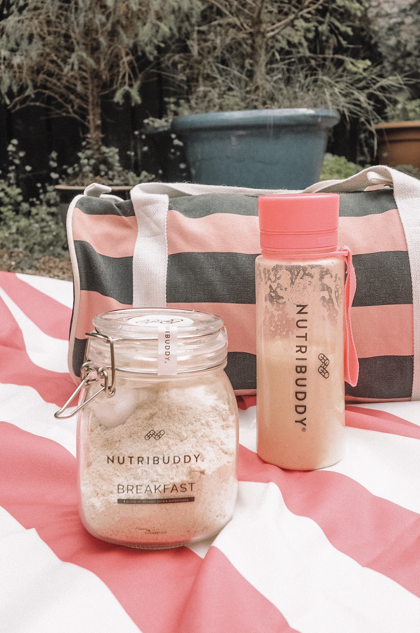 Nutribuddy Breakfast Shakes | Pink nutribuddy strawberry shake