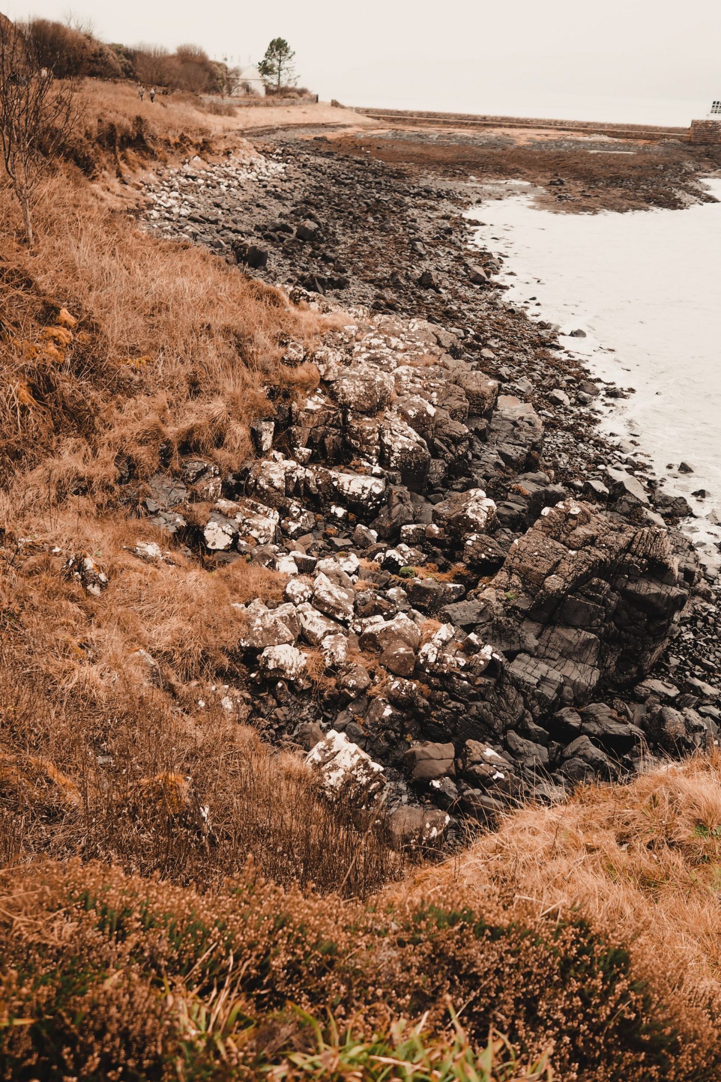 Travel Diaries: a week on the Isle of Mull at Hogmanay