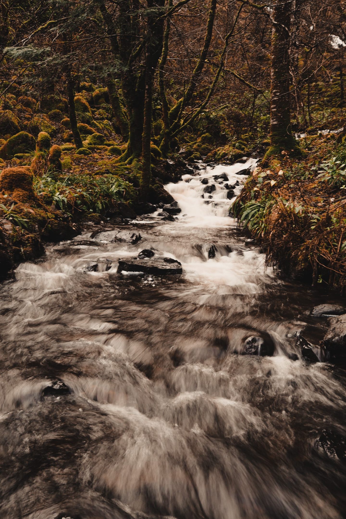 Travel Diaries: a week on the Isle of Mull at Hogmanay - running waterfall