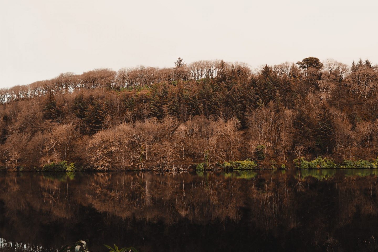 Travel Diaries: a week on the Isle of Mull at Hogmanay - reflection of trees in the loch