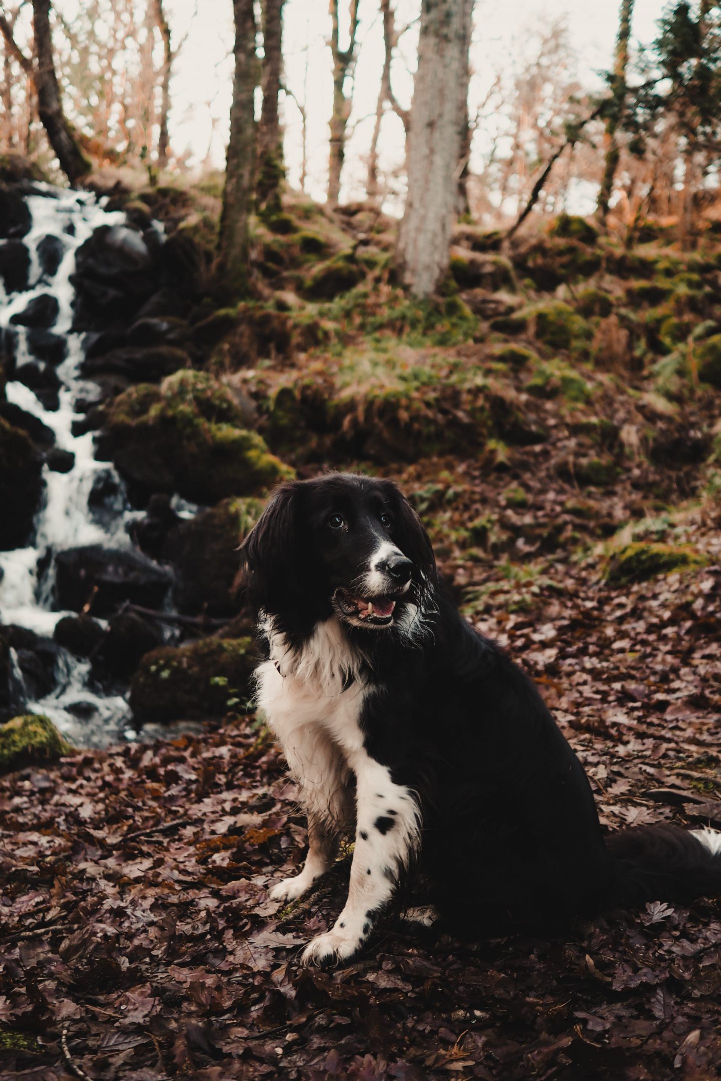 Travel Diaries: a week on the Isle of Mull at Hogmanay