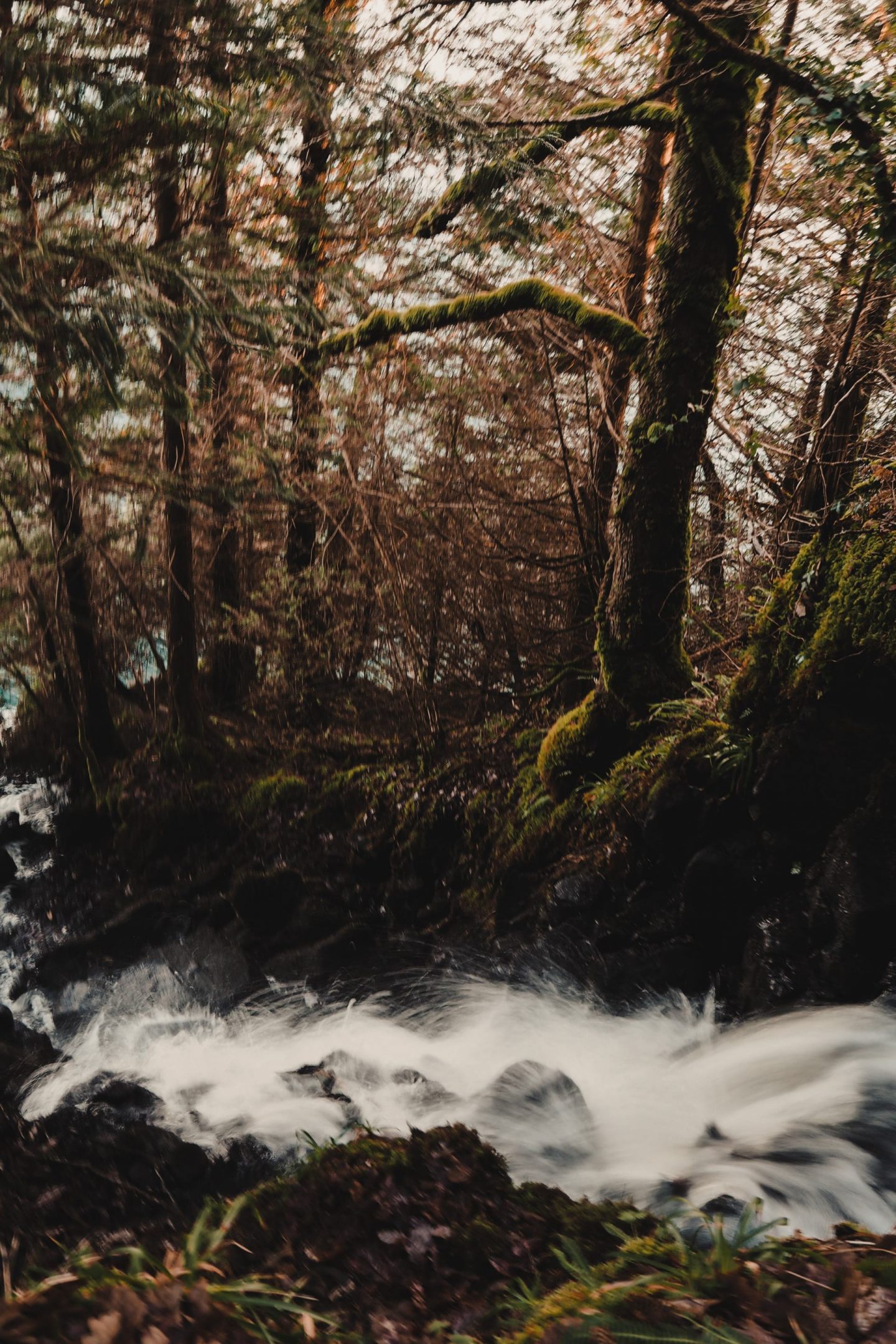 Travel Diaries: a week on the Isle of Mull at Hogmanay