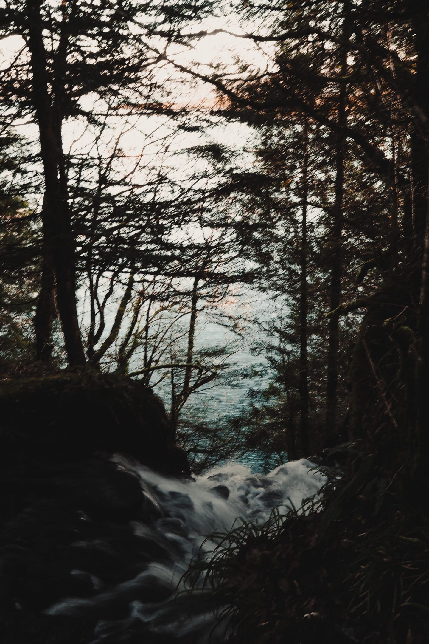 Travel Diaries: a week on the Isle of Mull at Hogmanay
