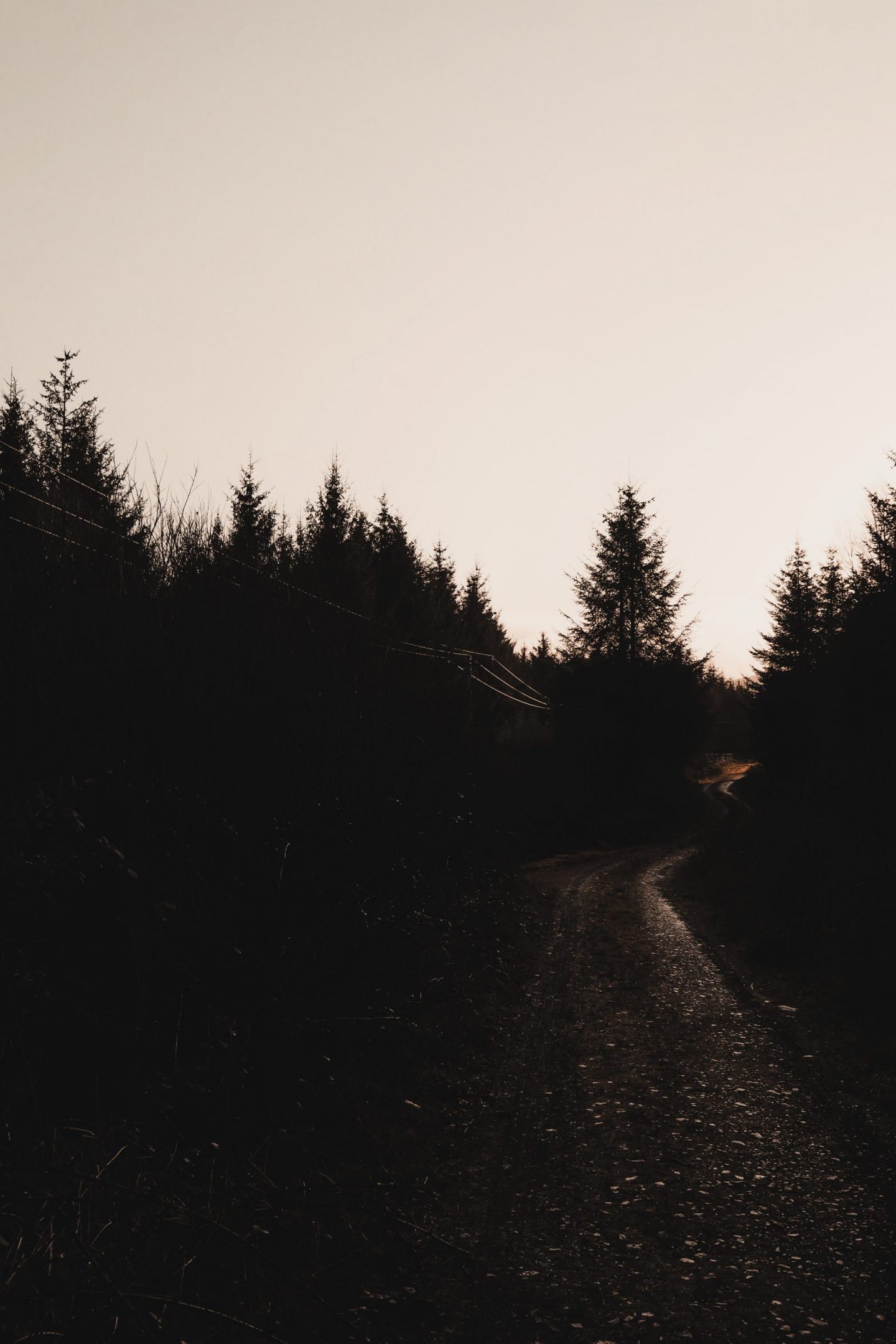Travel Diaries: a week on the Isle of Mull at Hogmanay Fishnish costal walk