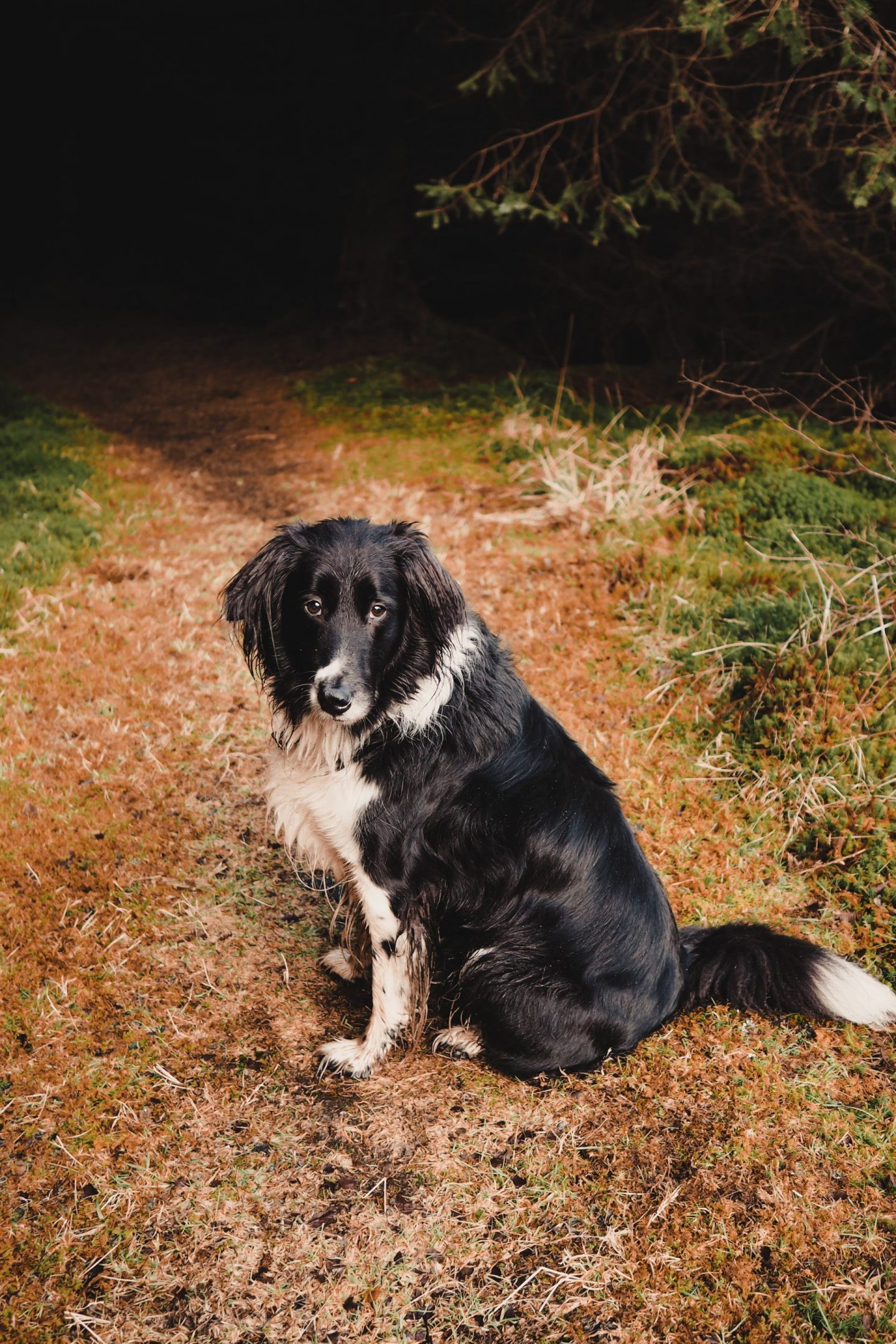 Travel Diaries: a week on the Isle of Mull at Hogmanay Fishnish costal walk