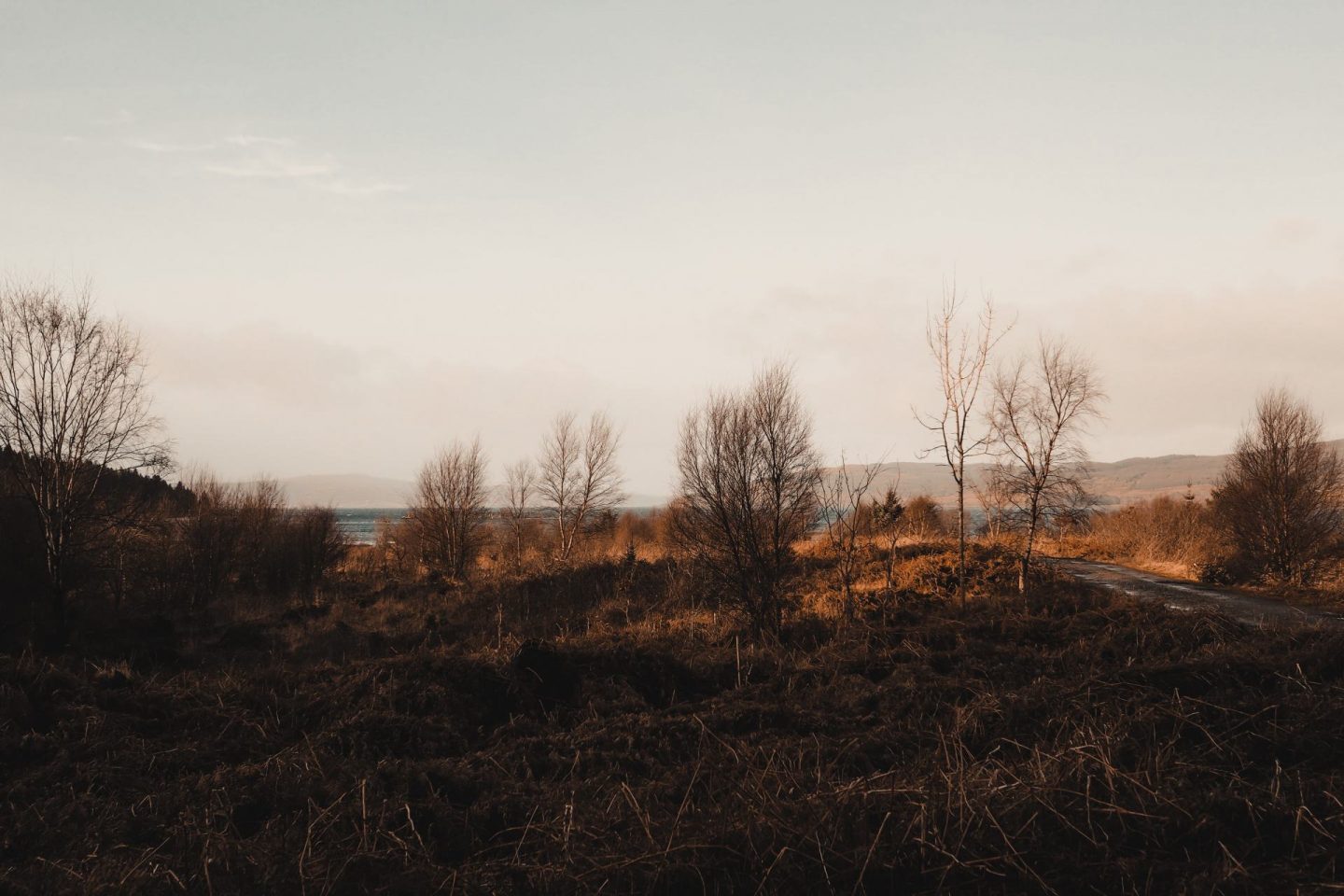 Travel Diaries: a week on the Isle of Mull at Hogmanay Fishnish costal walk