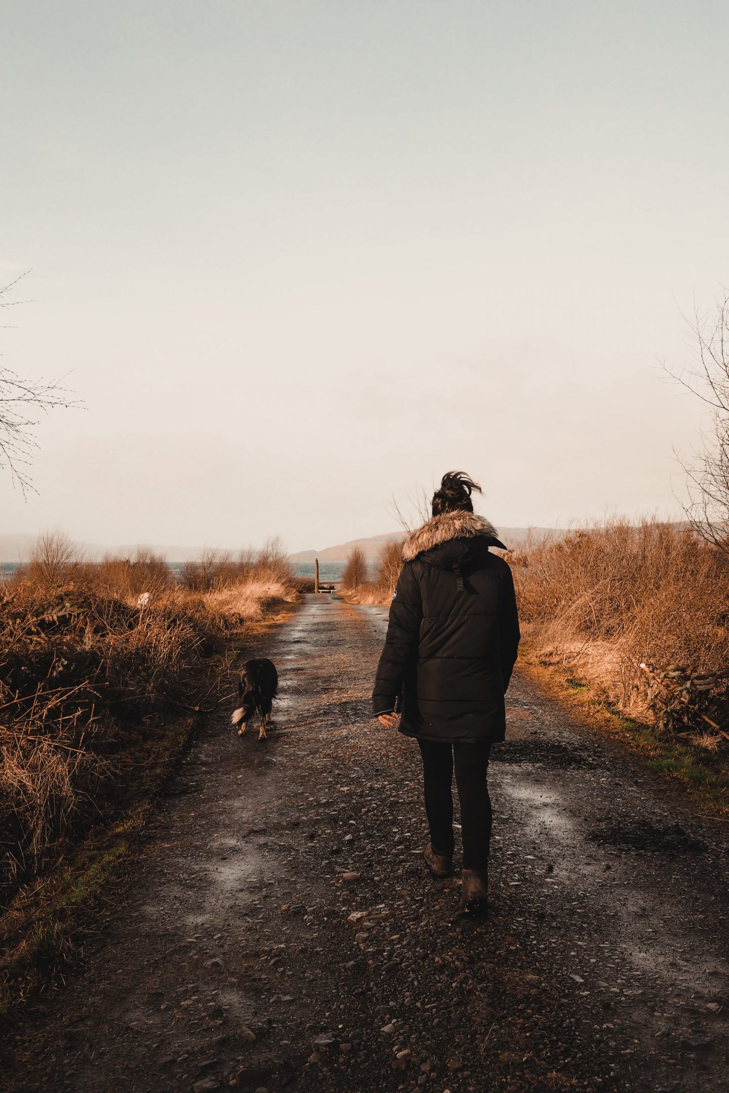 Travel Diaries: a week on the Isle of Mull at Hogmanay